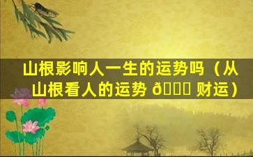 山根影响人一生的运势吗（从山根看人的运势 🕊 财运）